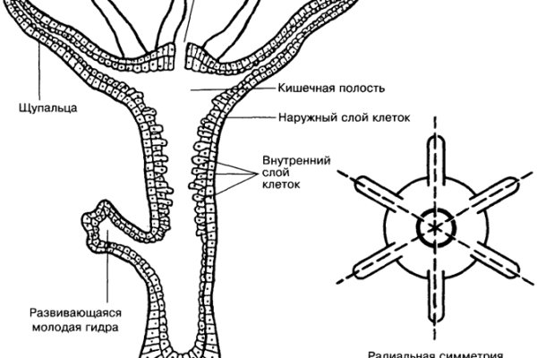 Кракен ссылка новая