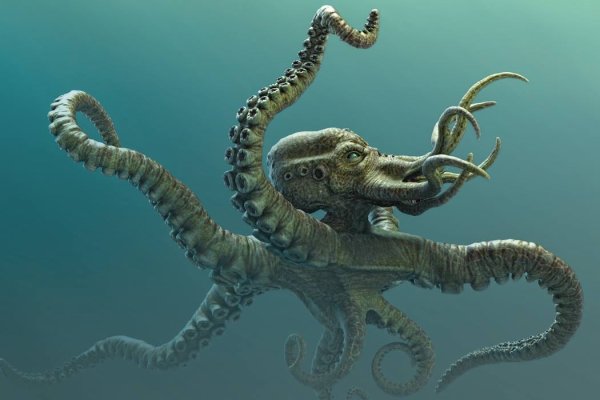 Как найти kraken